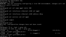 VirtualBox_vyos_11_06_2020_21_58_51.png (400×720 px, 9 KB)