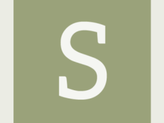workcard-pinboard-#9aa27a-alphanumeric/aleo-white/S.png-255,255,255,0.4.png (394×526 px, 14 KB)