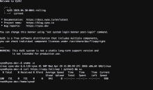 vyos-unpatched.png (523×881 px, 80 KB)