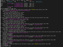 First_deploy_AN_Enabled2.png (931×1 px, 157 KB)