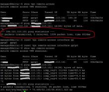 pptp.JPG (533×631 px, 90 KB)