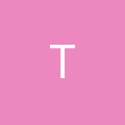 ♟ Timo