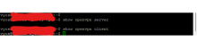 openvpn-issues.png (83×655 px, 7 KB)