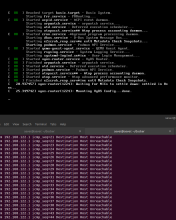 first_boot_after_update.png (989×793 px, 112 KB)