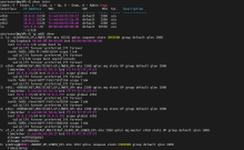One_NIC_with_AN_Enabled.png (840×1 px, 140 KB)