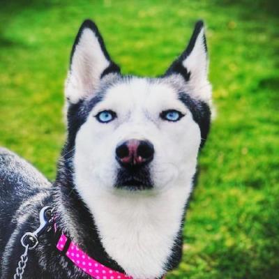Profile picture