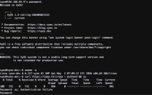 vyos-patched.png (526×833 px, 84 KB)