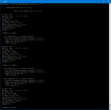 vyos.PNG (1×1 px, 49 KB)