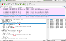 wireshark-before-aip-duplicate.png (800×1 px, 284 KB)